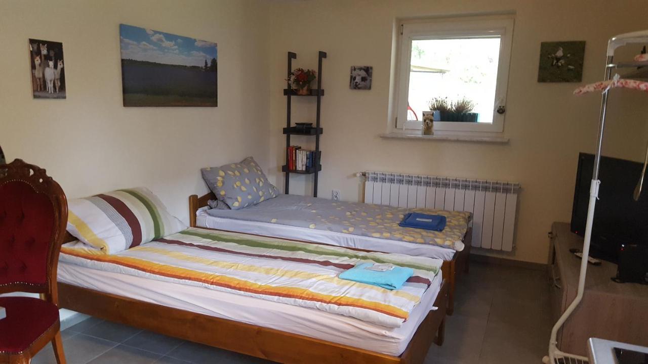 Villa Alpaka-Ranczo Aff à Puławy Extérieur photo