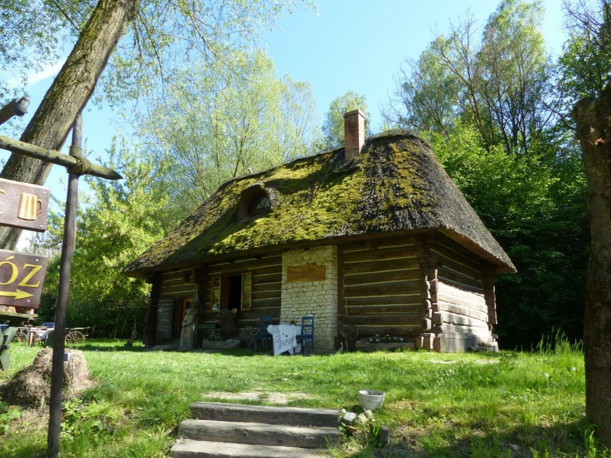 Villa Alpaka-Ranczo Aff à Puławy Extérieur photo