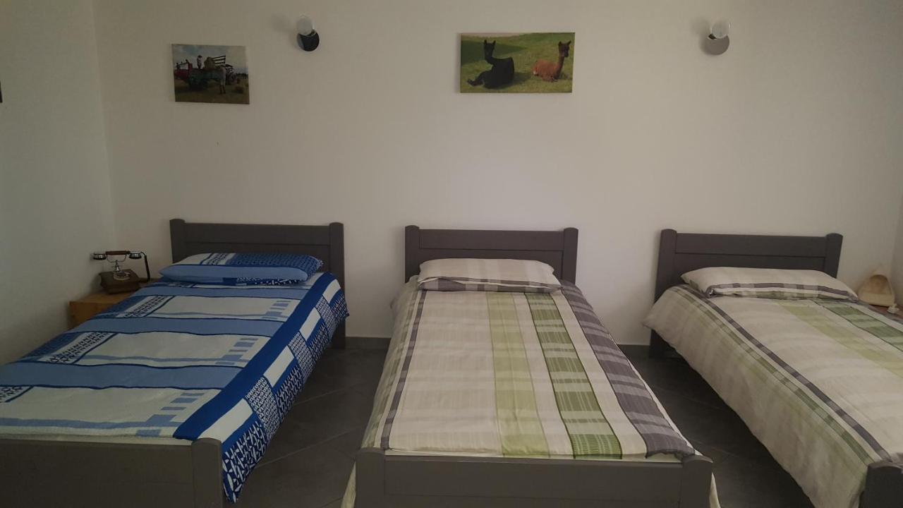 Villa Alpaka-Ranczo Aff à Puławy Extérieur photo